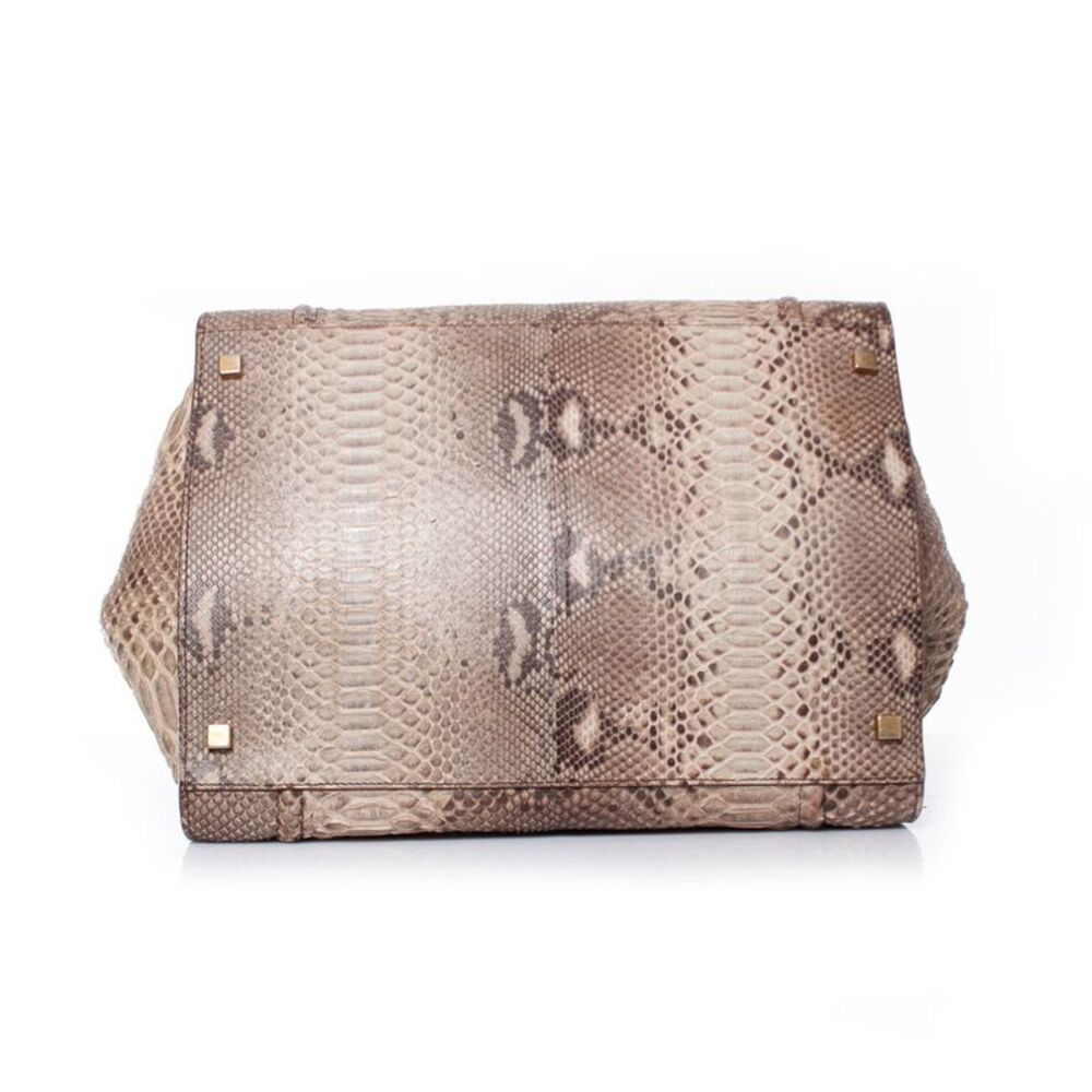 Celine Phantom Luggage Tote In Python Leather - image 5